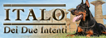 Сайт добермана   ITALO Dei Due Intenti по прозвищу Дуче